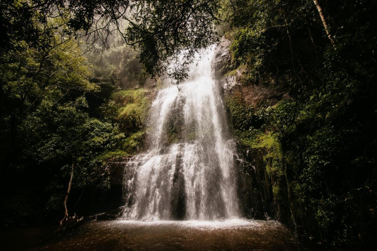 Mount Sheba Rainforest Hotel & Resort Pilgrimʼs Rest المظهر الخارجي الصورة
